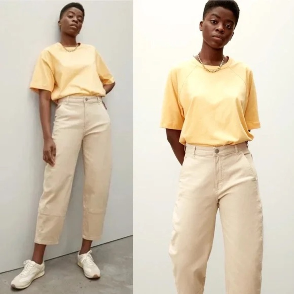 Everlane The Utility Barrel Pant